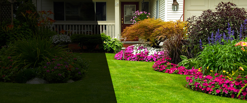 Fenton Landscapers