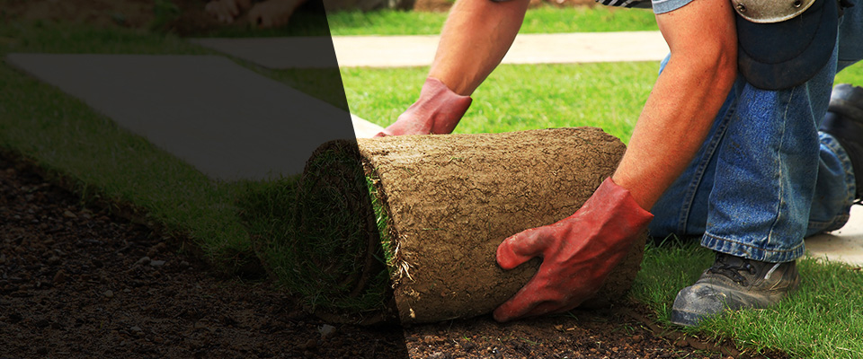 Fenton Landscapers